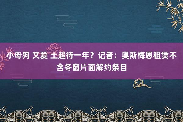 小母狗 文爱 土超待一年？记者：奥斯梅恩租赁不含冬窗片面解约条目