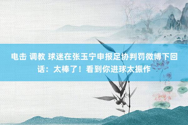 电击 调教 球迷在张玉宁申报足协判罚微博下回话：太棒了！看到你进球太振作