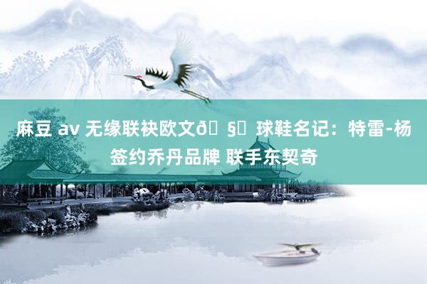 麻豆 av 无缘联袂欧文🧐球鞋名记：特雷-杨签约乔丹品牌 联手东契奇